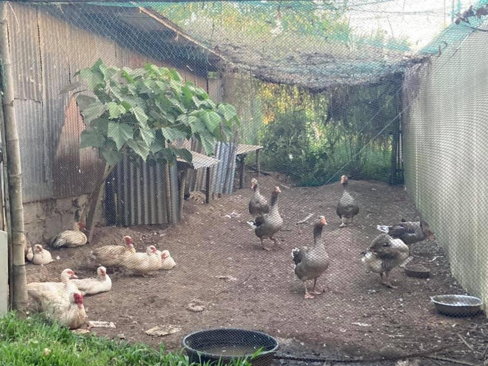 바탕가스 아타알라야 팜하우스 빌라 외부 사진
